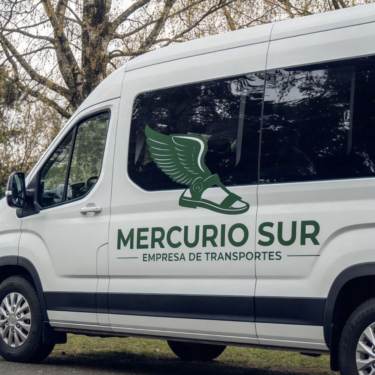 Vehículo Mercurio Sur